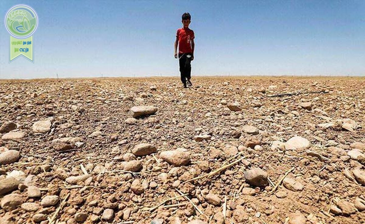 دولت چهاردهم و زمین سوخته محیط زیست

