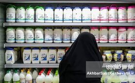 سقوط سرانه مصرف لبنیات به ۴۵ کیلوگرم؛ زنگ خطر برای سلامت عمومی در سایه گرانی
