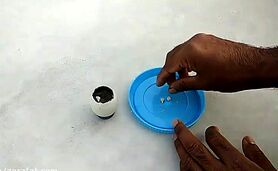 با یک تخم مرغ درخت نارنگی بکار+ ویدئو