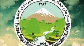 انتخابی تازه در راه خیابان مینی‌سیتی