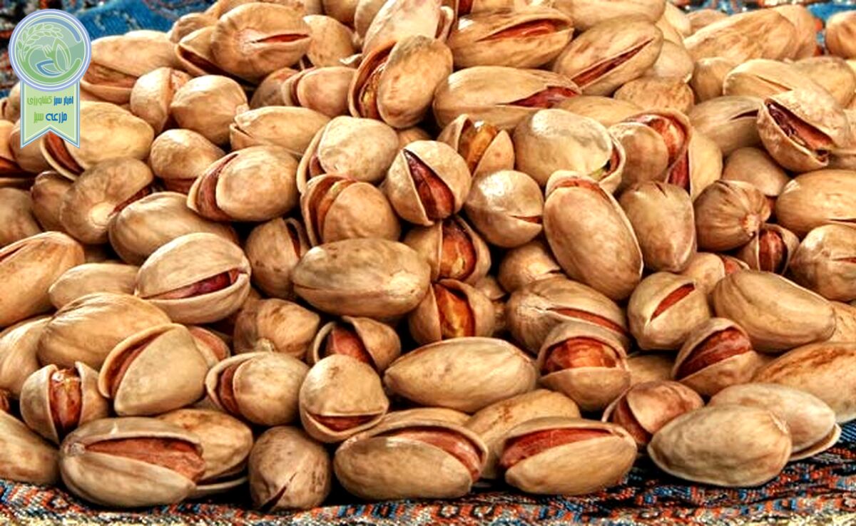 قصه پرغصه صادرات ایران/ روایت یک تولیدکننده از مشکلات صادرات

