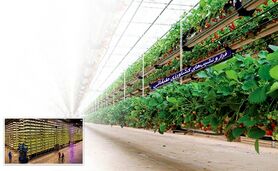 فراز و نشیب‌های کشاورزی طبقاتی

