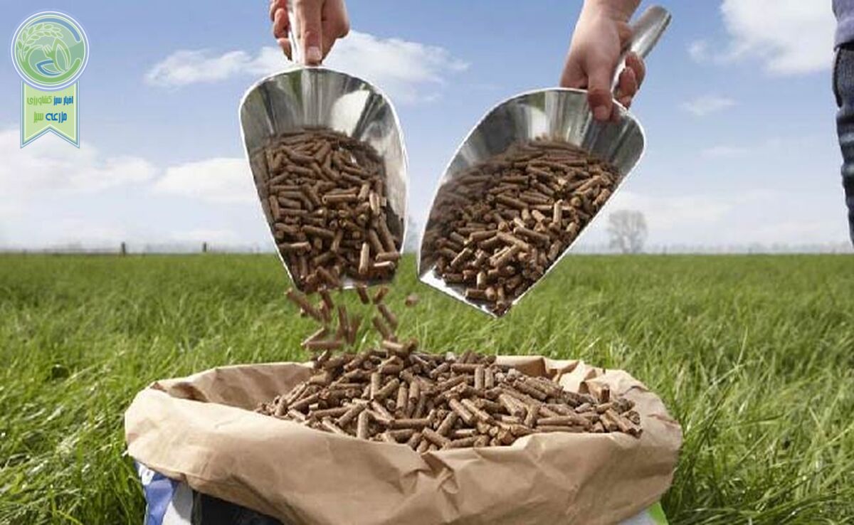 قیمت نهاده های دامی و محصولات کشاورزی ۸ خرداد ۱۴۰۳+ جدول

