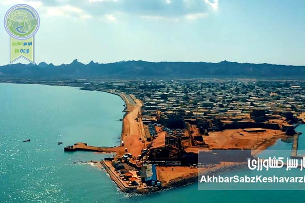 خلیج‌فارس؛ گلوگاه همیشگی جنگ و تجارت
