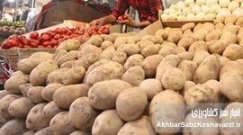 سیب‌زمینی ۱۳۵ هزار تومانی کی ارزان می‌شود؟ 