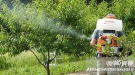 مدیرعامل شرکت بیتا بذرافشان آسیا: انحصار واردات سم، کشاورزی را به زانو درآورده است