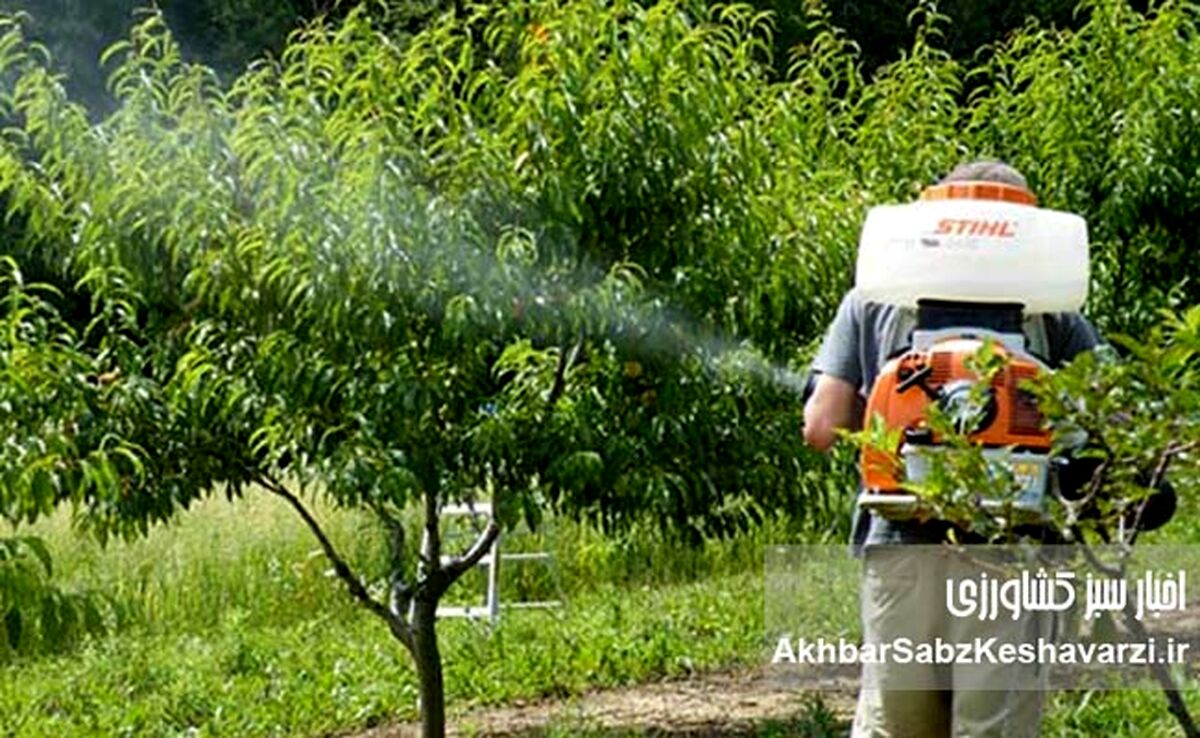 مدیرعامل شرکت بیتا بذرافشان آسیا: انحصار واردات سم، کشاورزی را به زانو درآورده است