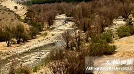 خاموشی سبز جاجرود؛ چرا بیدستان‌های شرق تهران خشک شدند؟