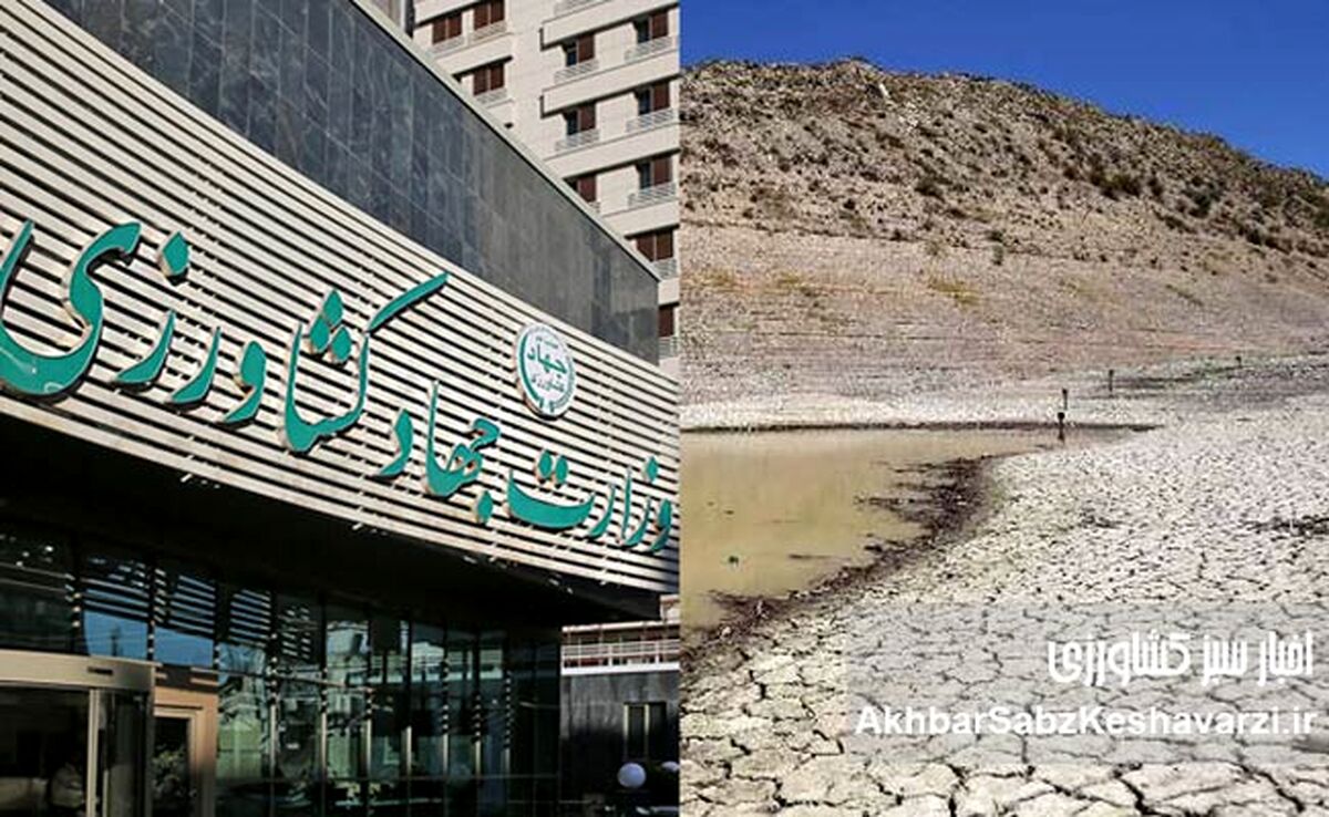 فرونشست و بحران آب: تاوان ناکارآمدی چه کسی؟ (تحلیل نقش وزارت جهاد کشاورزی)