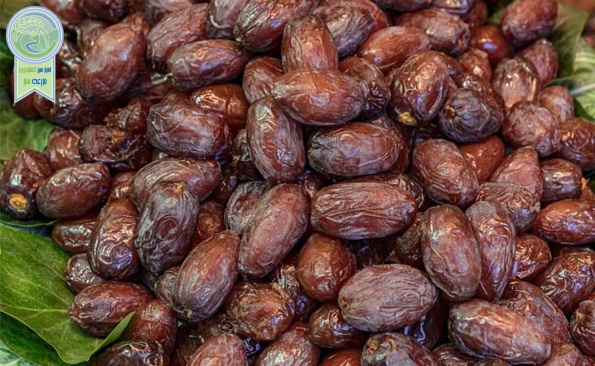 قیمت میوه و خرما سر به فلک کشید

