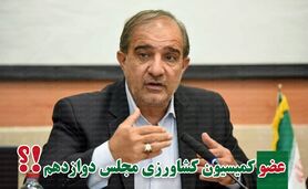  پیروزی محمدجواد عسکری با کسب بیشترین آرا

