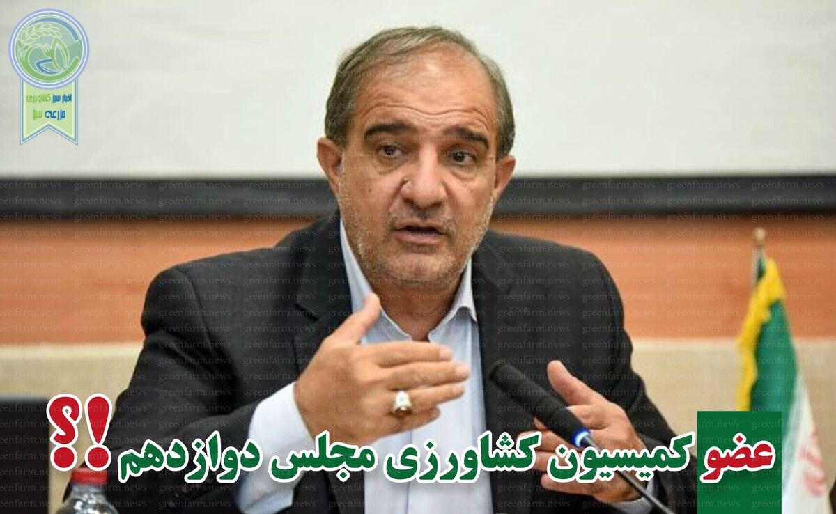  پیروزی محمدجواد عسکری با کسب بیشترین آرا

