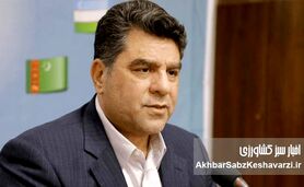 زمان تشکیل شورای امنیت غذایی کشور فرا رسیده است؛ راهی برای حکمرانی نوین در کشاورزی ایران