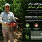 از باغ‌های هلو و شلیل چهارده تا توانمندسازی زنان روستایی؛ الگوی موفق اشتغال سبز در گلستان+ویدئو