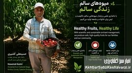 از باغ‌های هلو و شلیل چهارده تا توانمندسازی زنان روستایی؛ الگوی موفق اشتغال سبز در گلستان+ویدئو