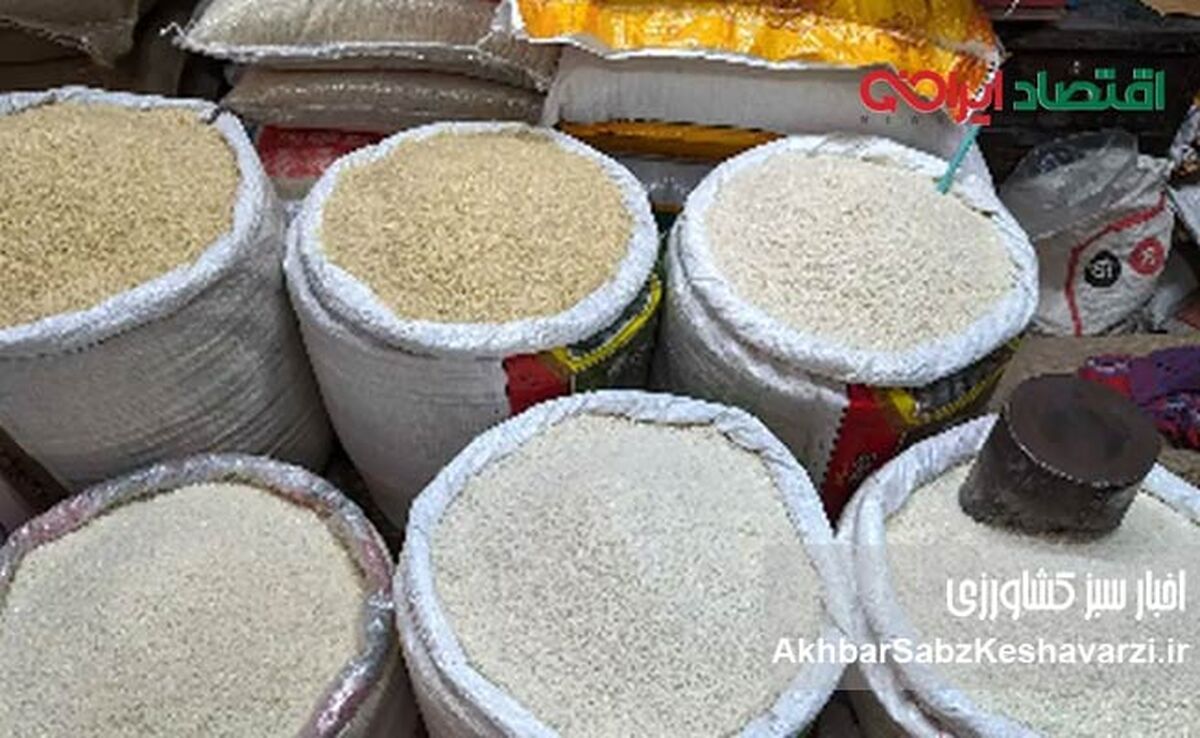  گرانی افسارگسیخته برنج ایرانی؛ از مافیای بازار تا تعطیلی واردات پاکستانی