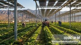 اگرو‌سولار چیست؟ مزایا، روش اجرا و آینده کشاورزی-فتوولتائیک