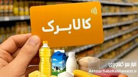 مشمولان کالابرگ بخوانند؛ واریز خرداد در ۳ نوبت + احتمال افزایش مبلغ
