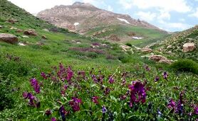 تکه‌ کردن رشته ‎کوه دنا را متوقف کنید

