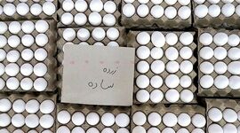 هر شانه تخم‌مرغ در بازار چند؟