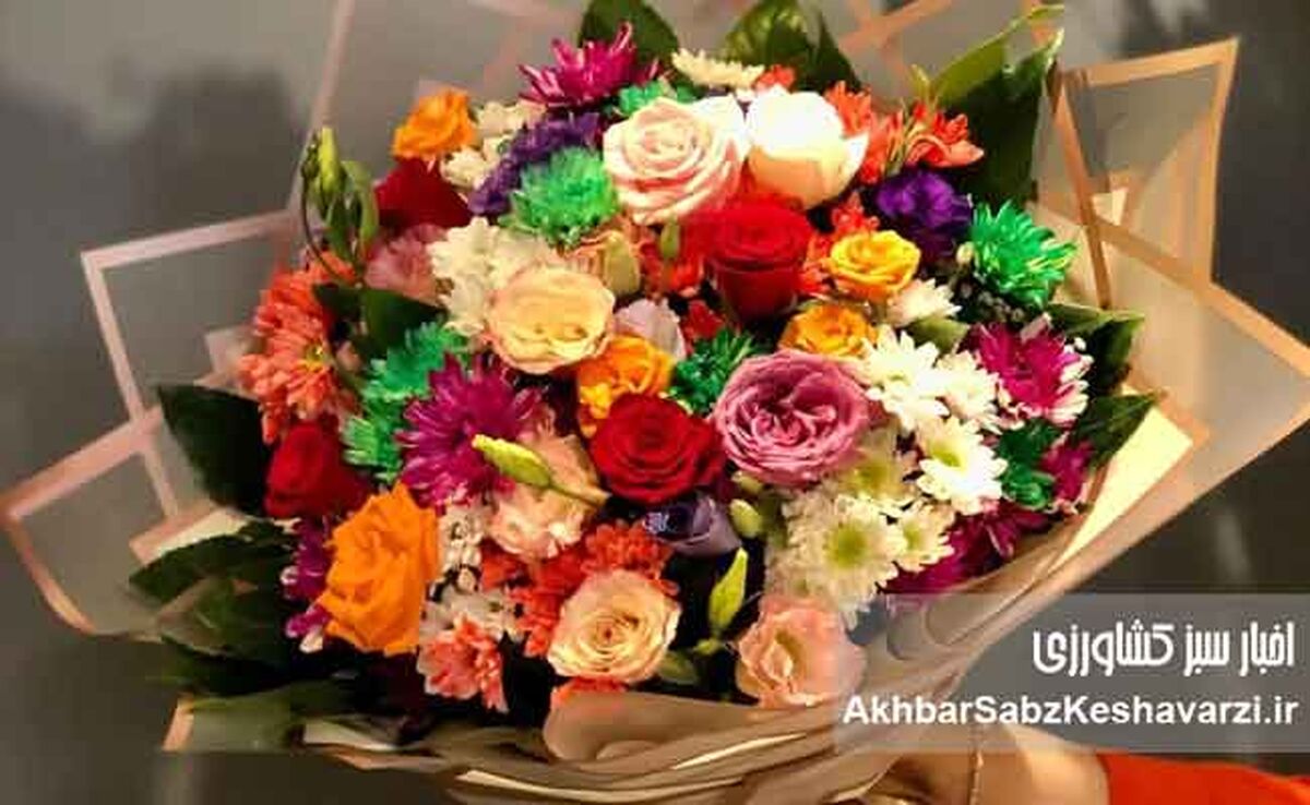 قیمت گل روز مادر نجومی شد؛ رز شاخه‌ای تا ۲۰۰ هزار تومان!