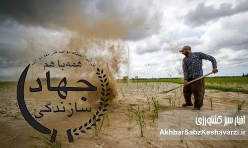 حذف جهادگران و جایگزینی با مدیران رانتی و غیرتخصصی؛ کانون جهادگران و سنگرسازان بی‌سنگر کجاست؟
