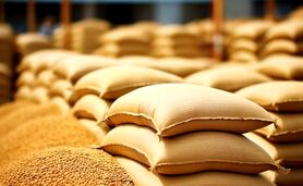 انحصارطلبی مدلل: پشت‌پرده تلاش برای تصاحب بازار کالاهای اساسی