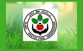 مدیریت در سازمان حفظ نباتات را پایدار کنید+ جدول

