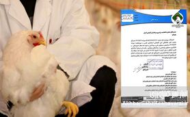 اعتراض به استخدام اجباری دامپزشک: صنعت مرغداری در آستانه چالش جدیدی است؟+نامه