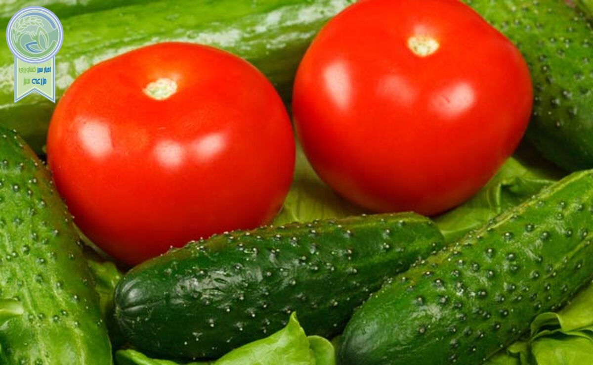 نوسان قیمت خیار و گوجه‌فرنگی در بازار

