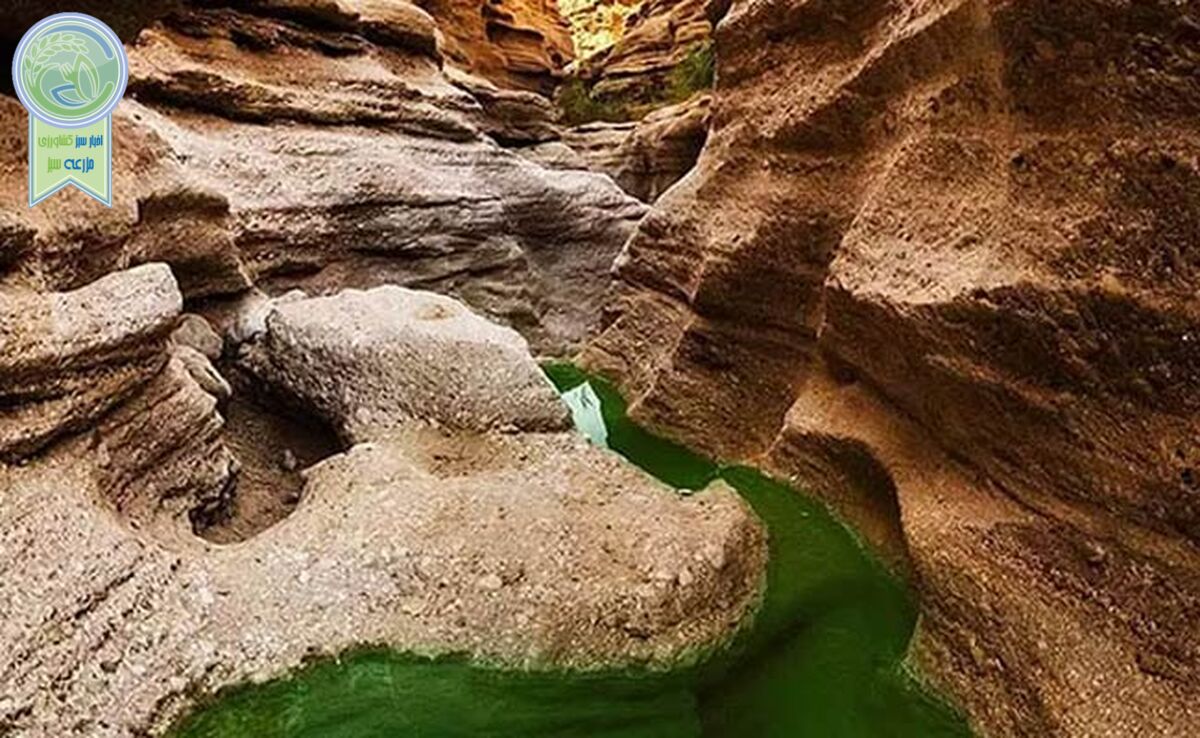 چشمه مرتضی علی؛ شگفت انگیز در طبس


