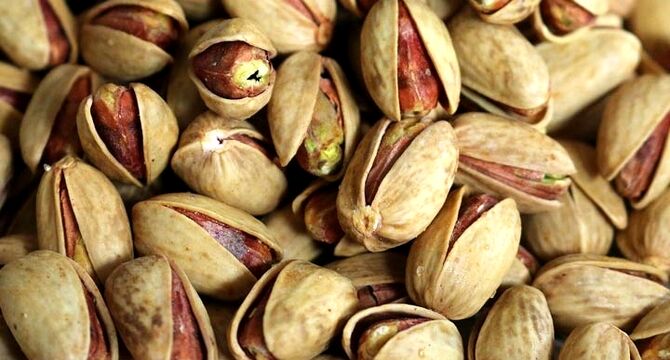 تولید کنندگان پسته بر سر دو راهی صادرات و بازار داخلی