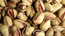 تولید کنندگان پسته بر سر دو راهی صادرات و بازار داخلی