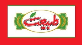 هلدینگ طبیعت در جمع ۱۰۰ شرکت برتر ایران

