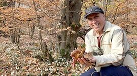 خاک جنگل‌های هیرکانی، مهم‌ترین ذخیره‌گاه کربن در بوم سازگان خشکی+ ویدئو

