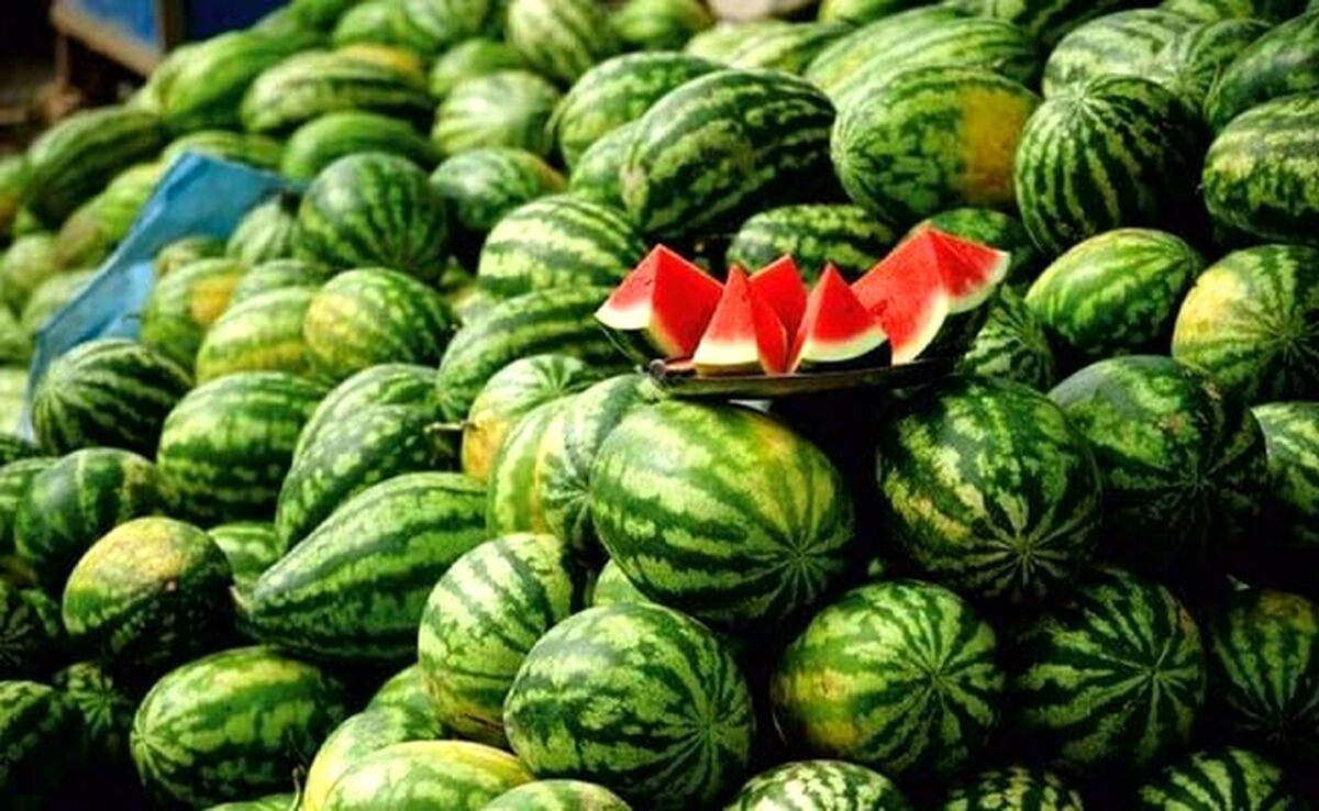 رکوردشکنی هندوانه و گوجه‌فرنگی در سال گذشته

