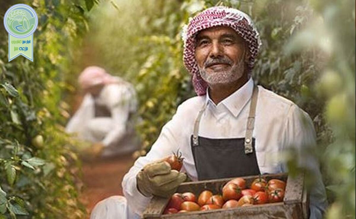 رکورد صادرات غیر نفتی عربستان در سال ۲۰۲۴ ثبت شد؛ گامی بلند در مسیر خداحافظی با اقتصاد تک محصولی!