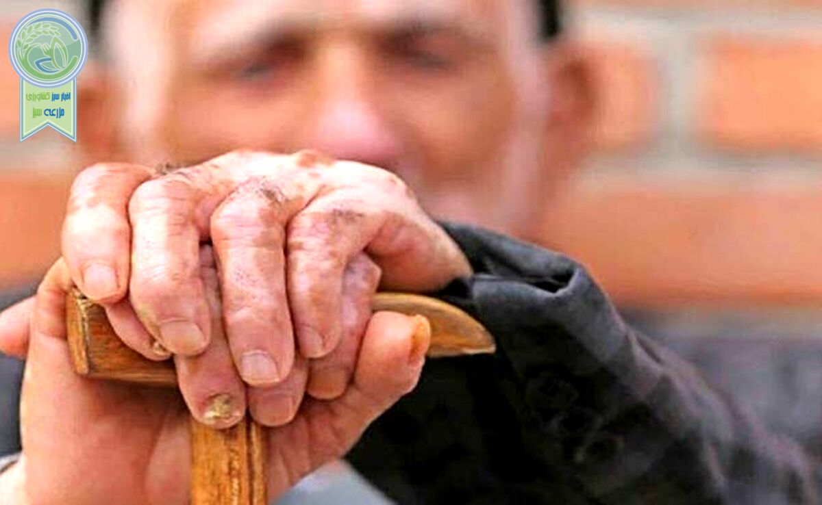سالمندی ۳۳ درصد جمعیت کشور تا ۱۴۳۰

