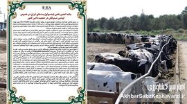 هشدار انجمن اپیدمیولوژیست‌های ایران درباره فاجعه تب برفکی