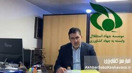ادامه حضور مدیرعامل محکوم اقتصادی در جهاد استقلال؛ چرا حکم قطعی اجرا نمی‌شود؟