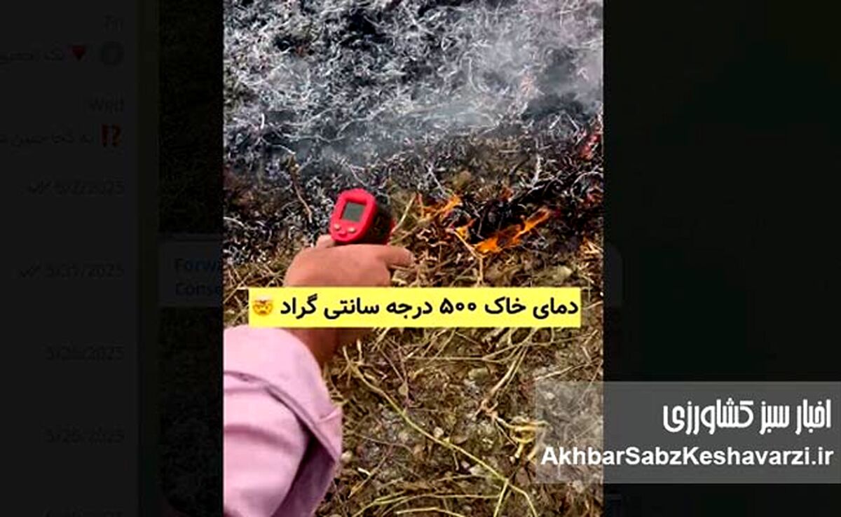 سوزاندن بقایای کشاورزی؛ فاجعه‌ای خاموش برای سلامت و حاصلخیزی خاک+ ویدئو