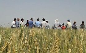 روزی برای تقدیر از کشاورزی و مزرعه‌داری

