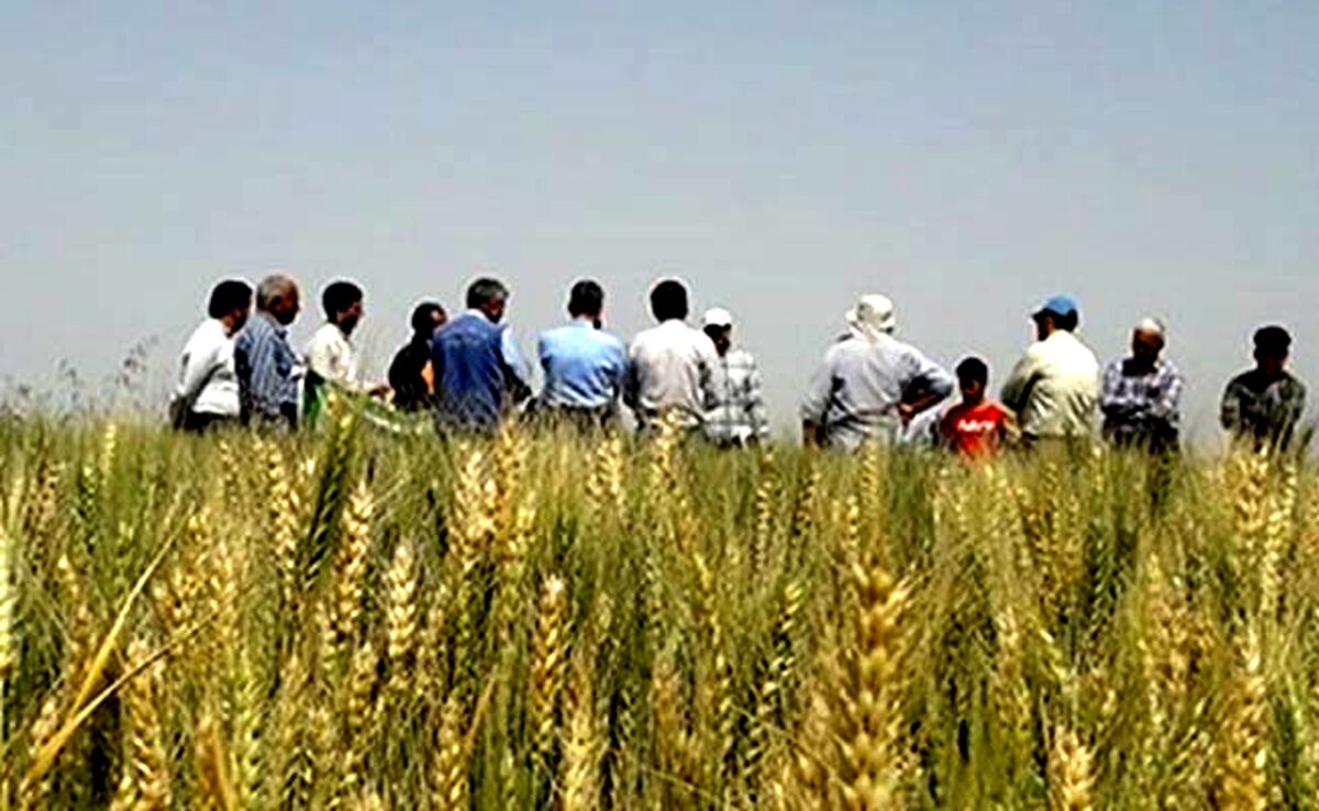 روزی برای تقدیر از کشاورزی و مزرعه‌داری

