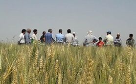 روزی برای تقدیر از کشاورزی و مزرعه‌داری

