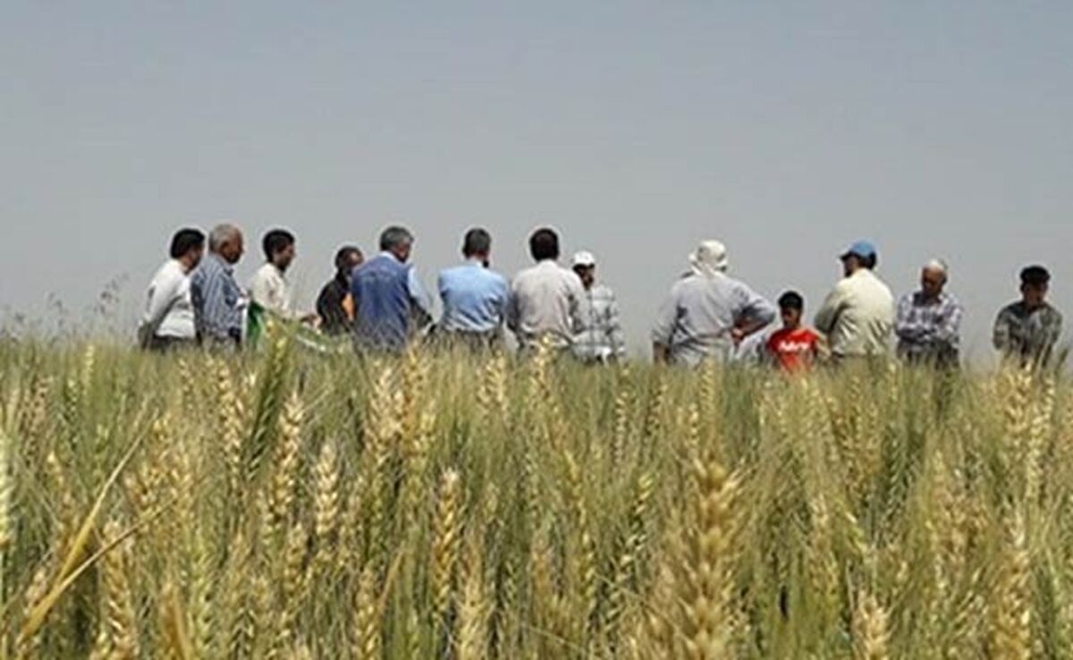 روزی برای تقدیر از کشاورزی و مزرعه‌داری

