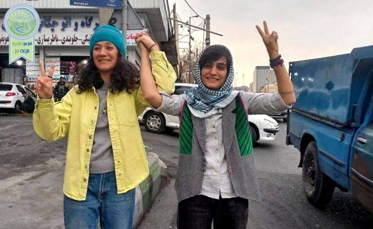 درخواست 500 نفر از روزنامه‌نگاران و فعالان اجتماعی برای توقف حکم الهه محمدی و نیلوفر حامدی

