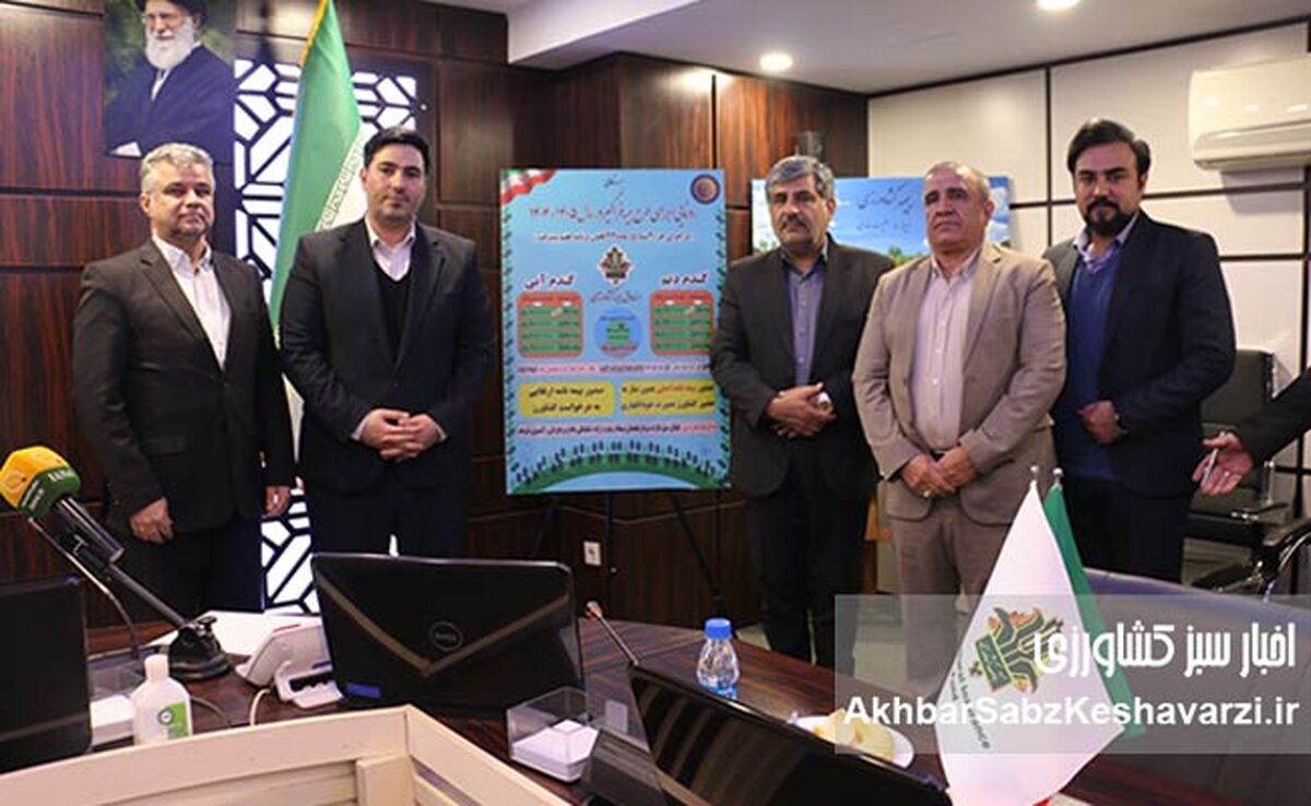 بیمه تمام‌خطر گندم وارد فاز سراسری شد؛ تأکید بر شفافیت و مدیریت ریسک