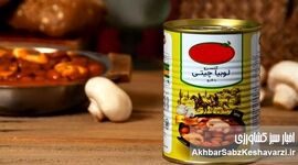 زندگی یک خبرنگار؛ لوبیا گران شد، من میلیونر شدم