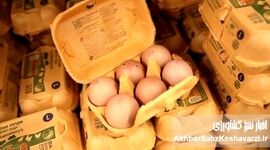 معمای «دو سر سوخت» در بازار قیمت تخم مرغ؛ چرا هم تولیدکننده می‌سوزد، هم مصرف‌کننده؟