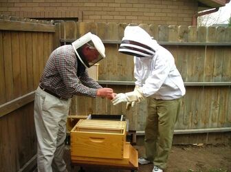 شروع مسیر زنبورداری با نگاهی به واقعیت‌های تولید